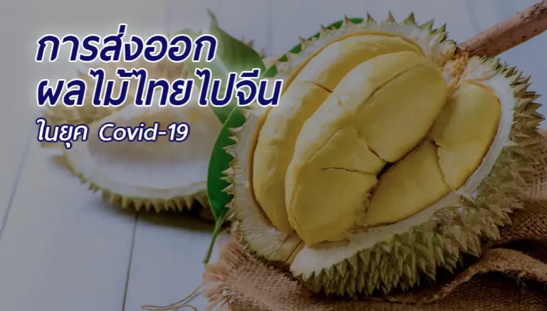 ส่งออกผลไม้ไทยไปจีน