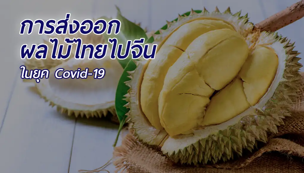 ส่งออกผลไม้ไทยไปจีน