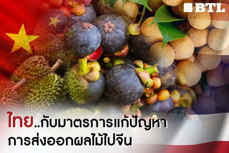 ส่งออกผลไม้ไปจีน