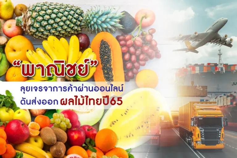 ส่งออกผลไม้ไทย 2565