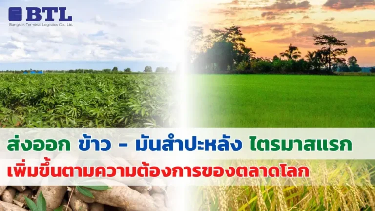 ส่งออกข้าวและมันสำปะหลัง