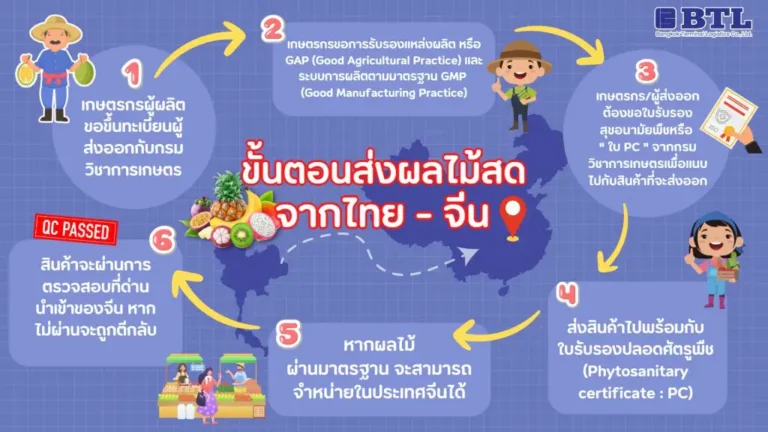 กฎระเบียบการส่งออกผลไม้ไปจีน