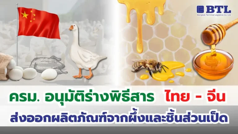 ส่งออกผลิตภัณฑ์จากผึ้งและชิ้นส่วนเป็ด