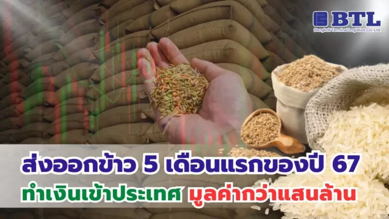 ส่งออกข้าวไทย