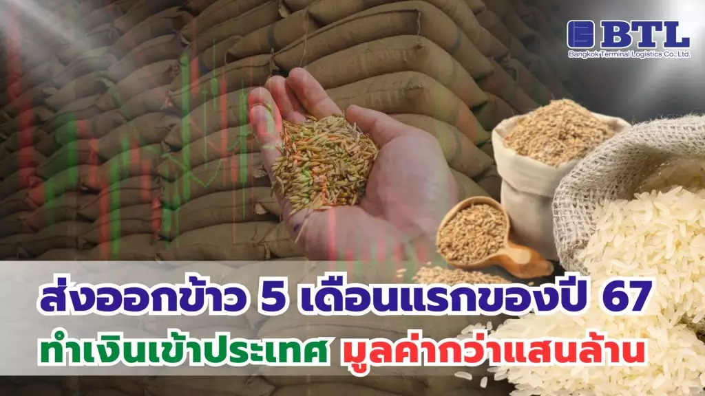 ส่งออกข้าวไทย